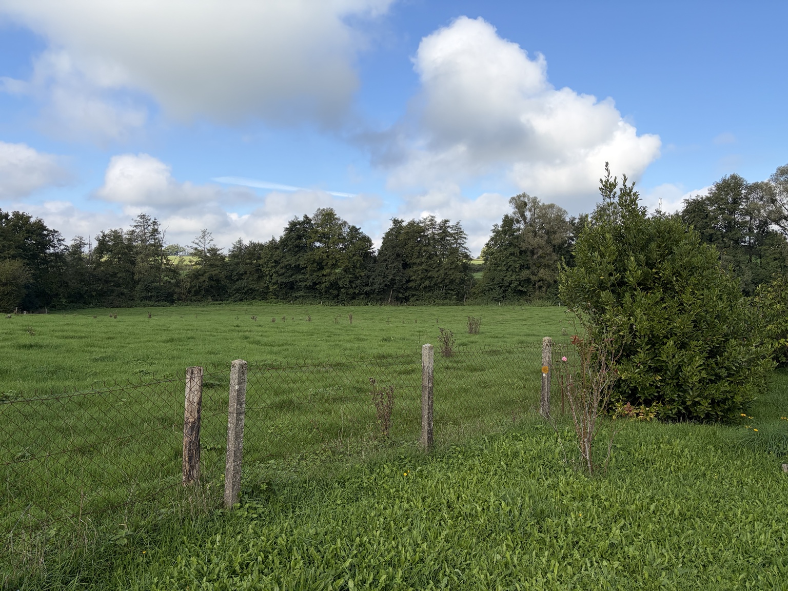 Uitzicht over groene velden in de Morvan